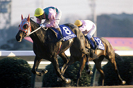 keiba_20141217_1.png